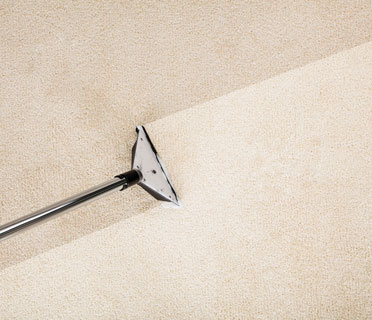 Carpet Cleaning NYC