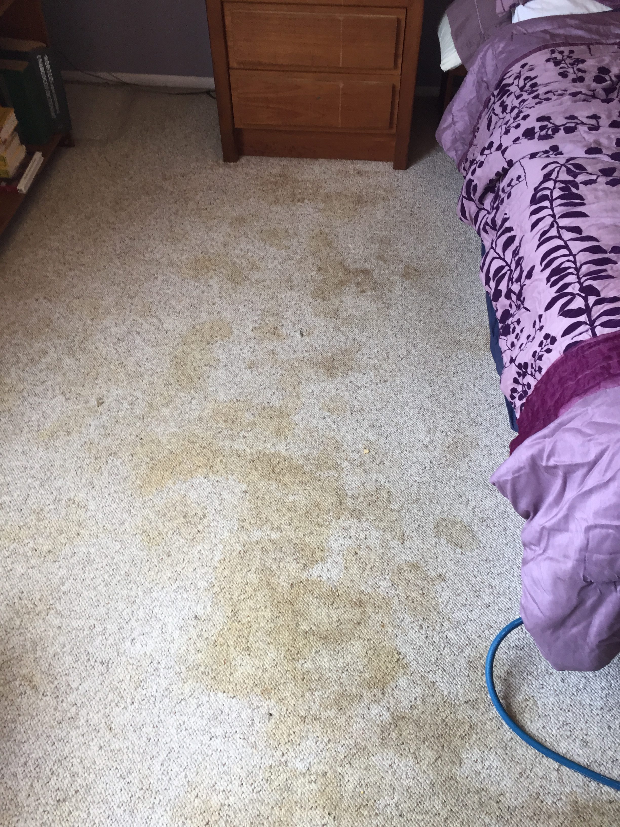 Carpet Cleaning – Before