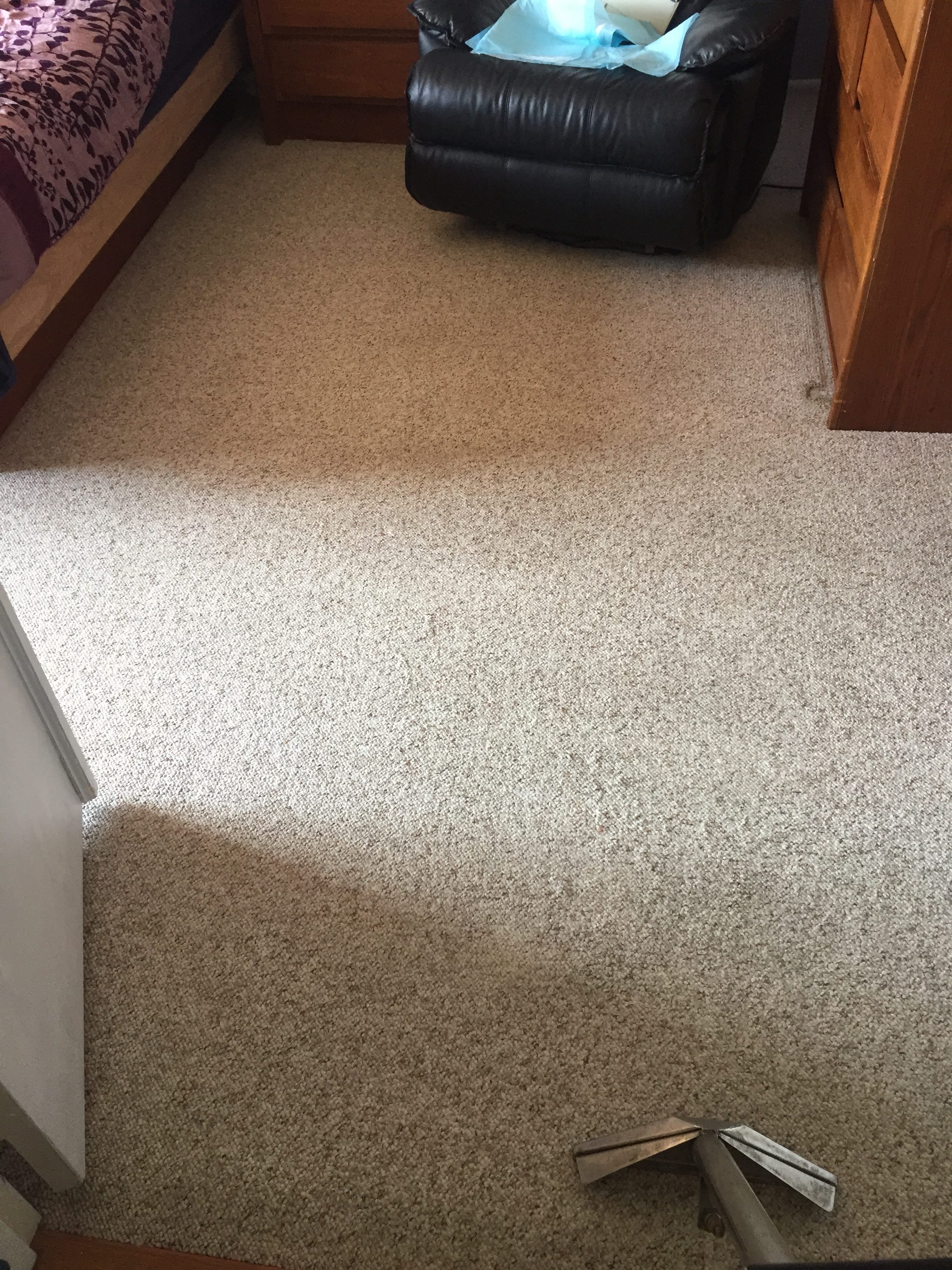 Carpet Cleaning – After