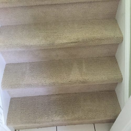 Stair Cleaning – After