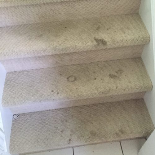 Stair Cleaning – Before