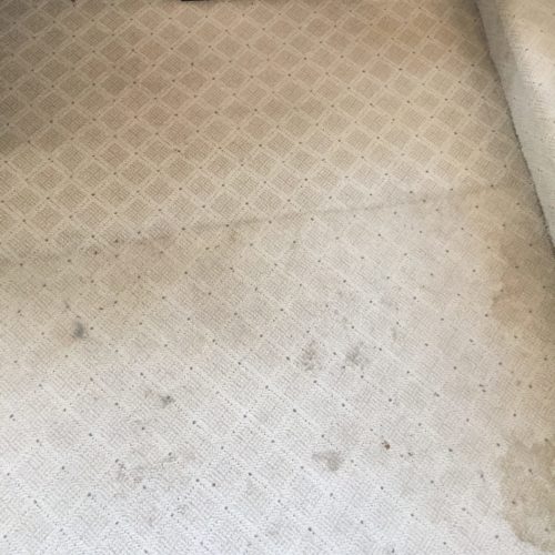 Carpet Cleaning – instant Before & After
