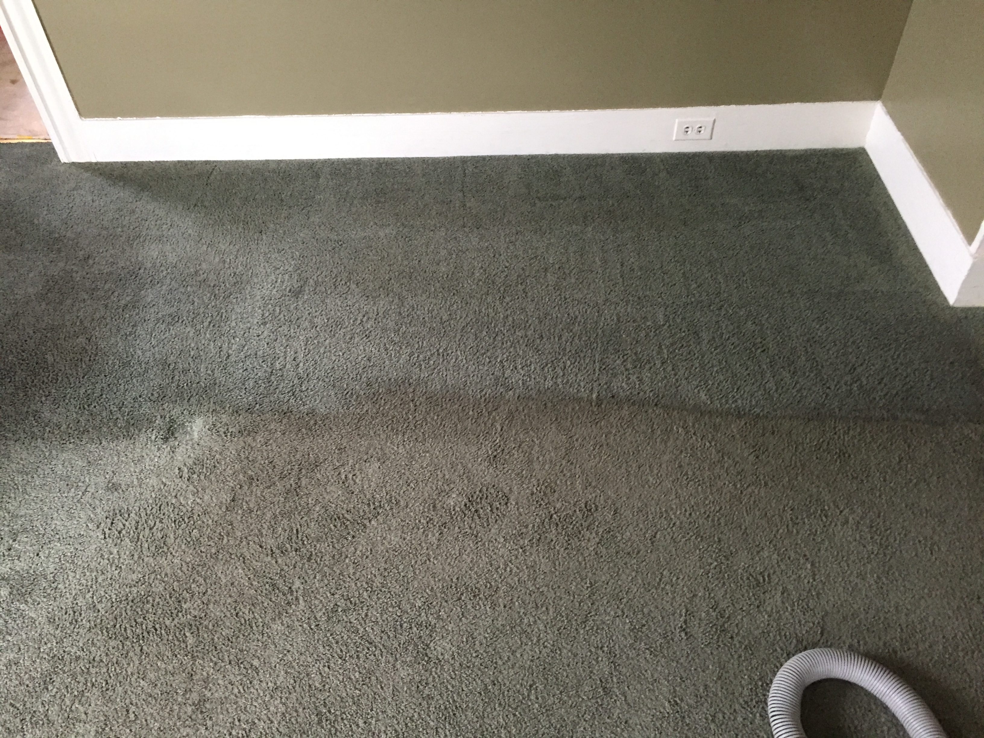 Carpet Cleaning – instant Before & After